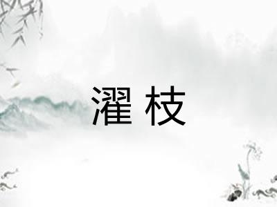 濯枝