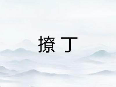 撩丁