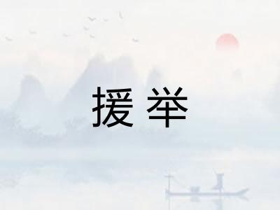 援举