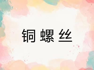 铜螺丝