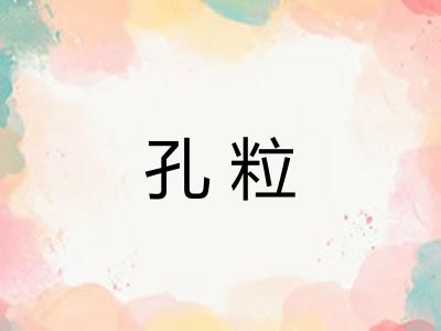 孔粒