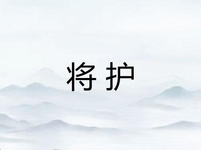 将护