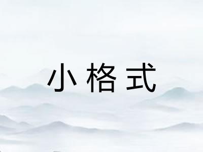 小格式