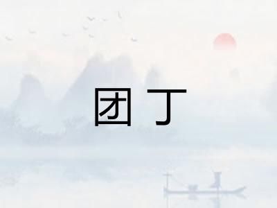 团丁