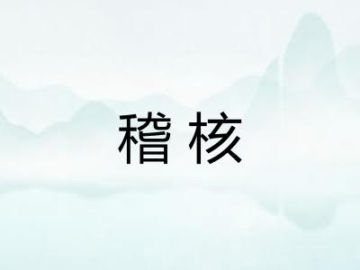 稽核