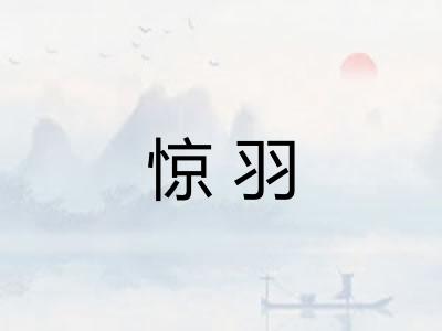 惊羽