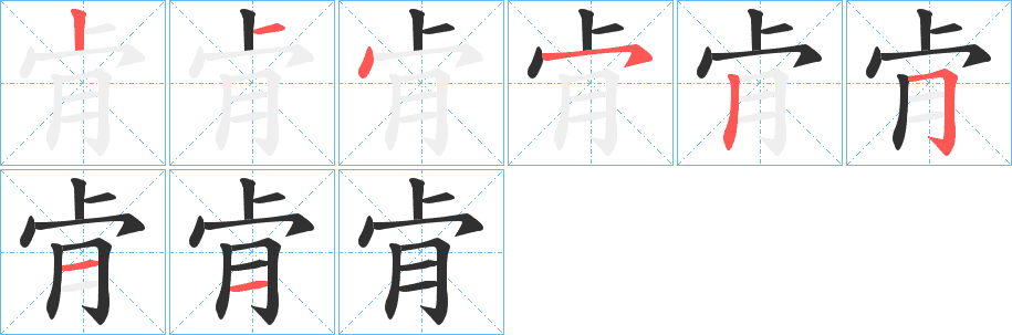 肻的笔顺分步演示图